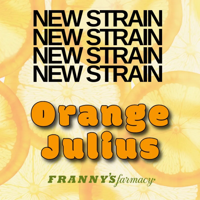 Orange Julius THCa Flower – Sativa Premium (33.1%)